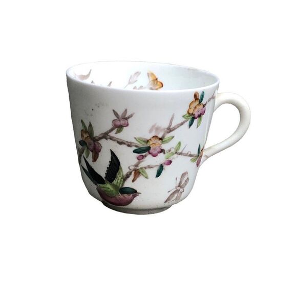 Antique W.A.A. William A Adderley bone China cup and saucer  THORN Birds - Picture 2 of 9
